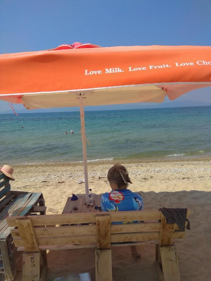 Adam'S Holiday House 2019 Kariani Luaran gambar