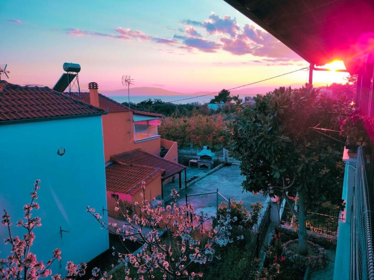 Adam'S Holiday House 2019 Kariani Luaran gambar