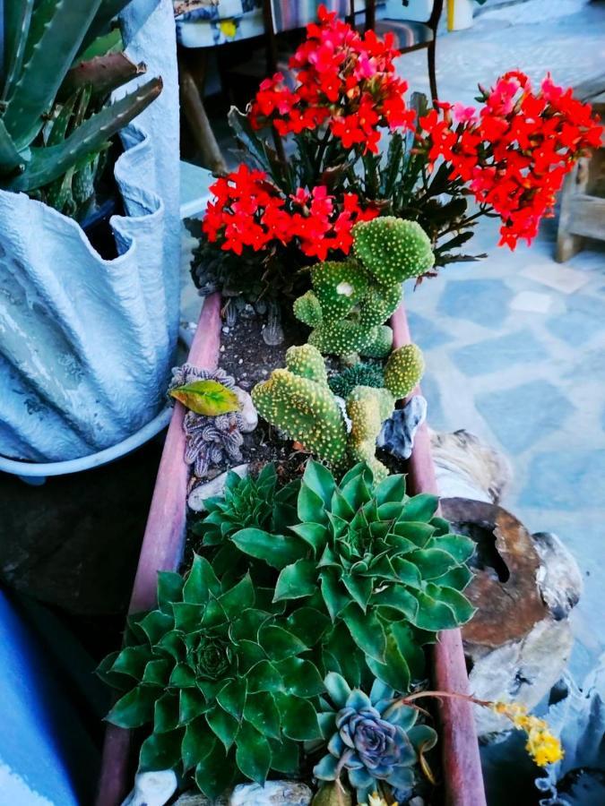 Adam'S Holiday House 2019 Kariani Luaran gambar