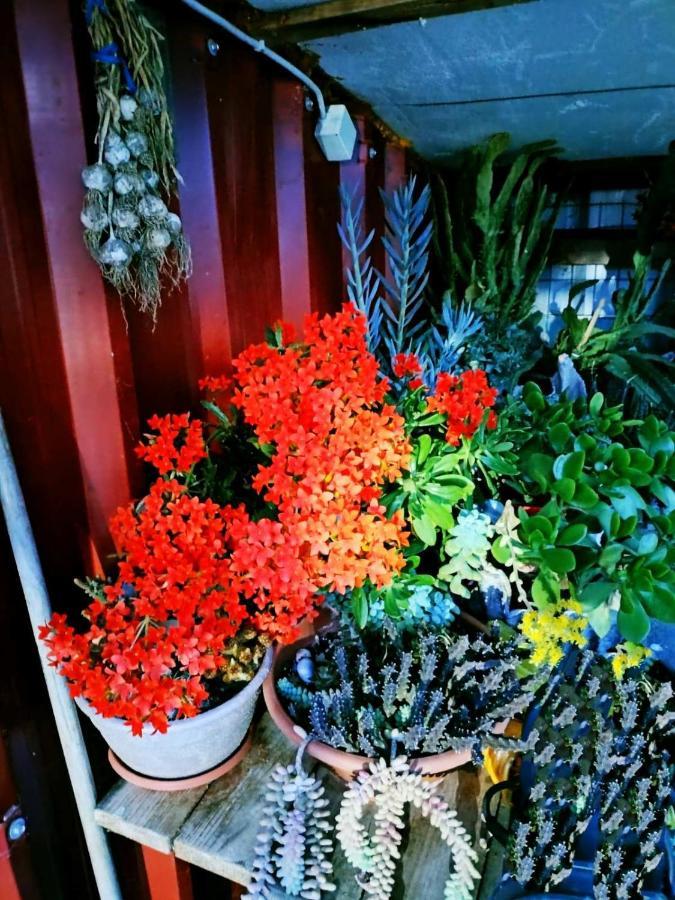 Adam'S Holiday House 2019 Kariani Luaran gambar