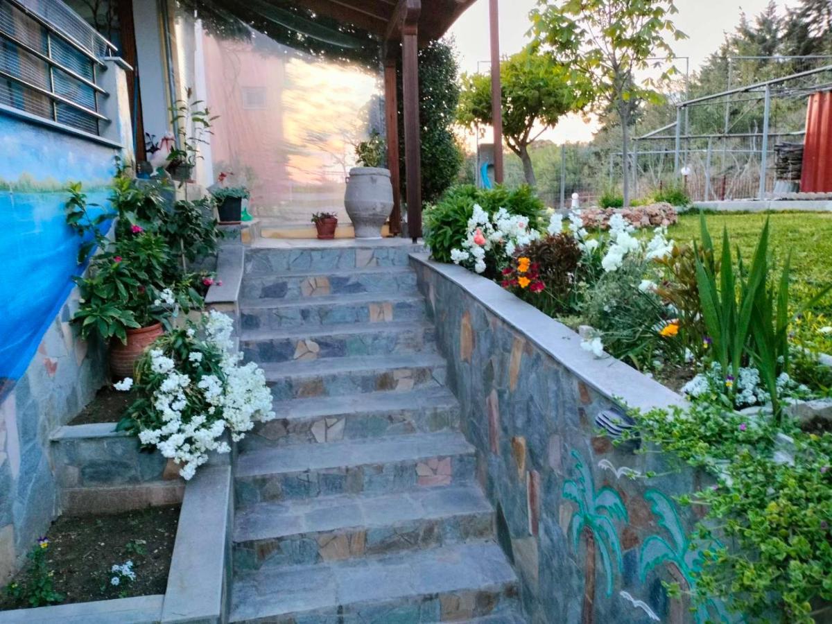 Adam'S Holiday House 2019 Kariani Luaran gambar
