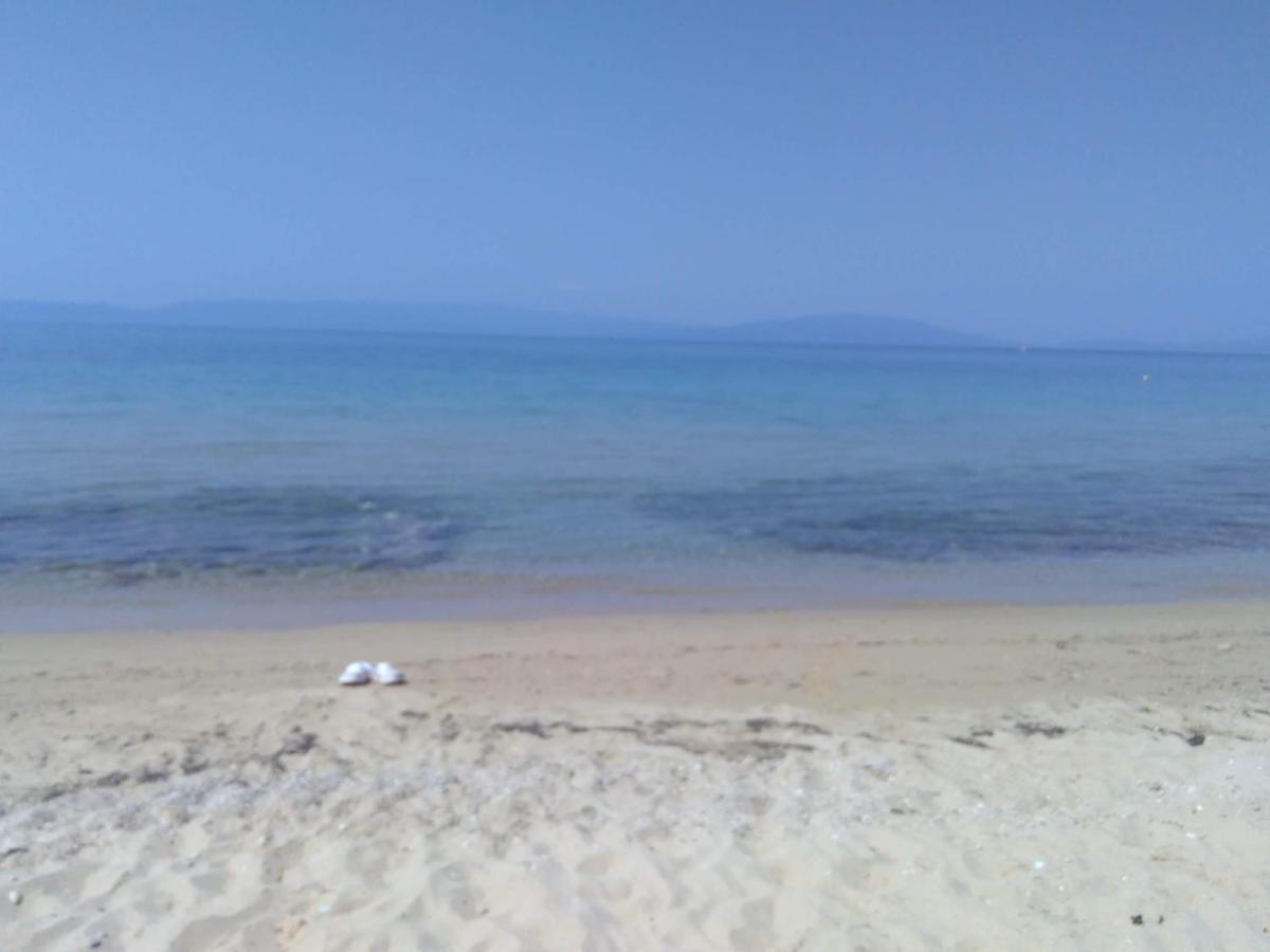 Adam'S Holiday House 2019 Kariani Luaran gambar