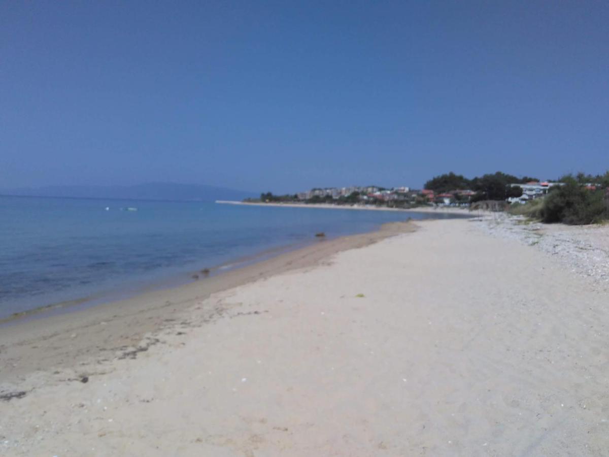 Adam'S Holiday House 2019 Kariani Luaran gambar